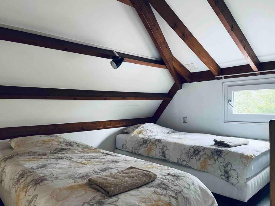 Leuke Bungalow In Noord-Holland Opmeer Kültér fotó